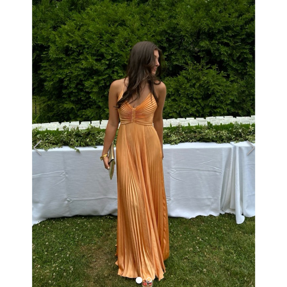 ALC Aries Pleated Maxi Dress in Mandarin Orange US 6 - Picture 3 of 10